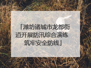 潍坊诸城市龙都街道开展防汛综合演练 筑牢安全防线