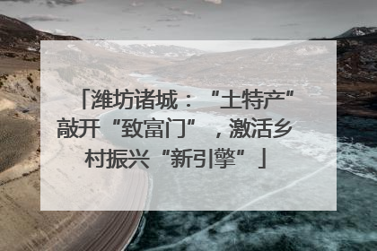 潍坊诸城：“土特产”敲开“致富门”，激活乡村振兴“新引擎”