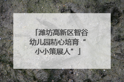 潍坊高新区智谷幼儿园精心培育“小小策展人”