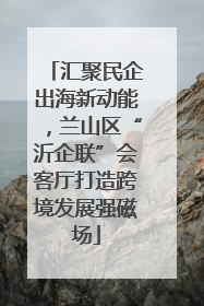 汇聚民企出海新动能，兰山区“沂企联”会客厅打造跨境发展强磁场