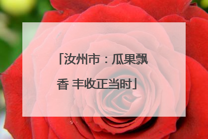 汝州市：瓜果飘香 丰收正当时