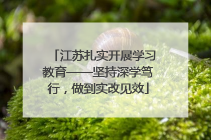 江苏扎实开展学习教育——坚持深学笃行，做到实改见效