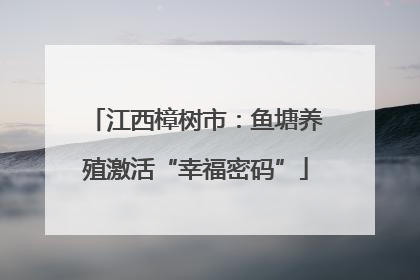 江西樟树市：鱼塘养殖激活“幸福密码”