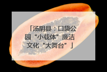 汤阴县：口袋公园“小载体”廉洁文化“大舞台”
