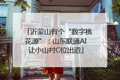 沂蒙山有个“数字桃花源”：山东联通AI让小山村C位出道