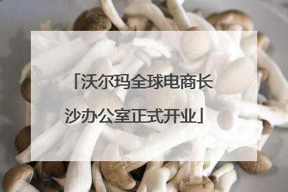 沃尔玛全球电商长沙办公室正式开业