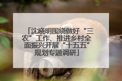 沈晓明围绕做好“三农”工作、推进乡村全面振兴开展“十五五”规划专题调研