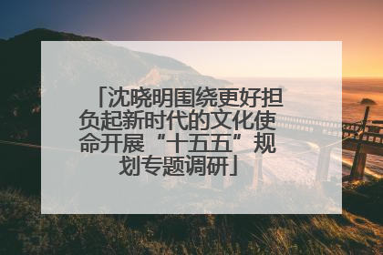 沈晓明围绕更好担负起新时代的文化使命开展“十五五”规划专题调研
