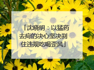 沈晓明：以猛药去疴的决心坚决刹住违规吃喝歪风