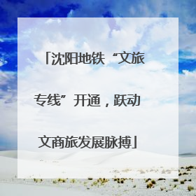 沈阳地铁“文旅专线”开通，跃动文商旅发展脉搏