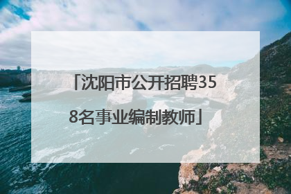 沈阳市公开招聘358名事业编制教师