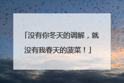 没有你冬天的调解，就没有我春天的菠菜！