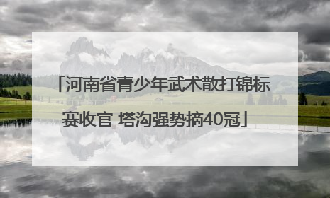 河南省青少年武术散打锦标赛收官 塔沟强势摘40冠