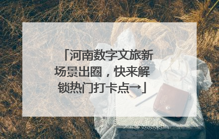河南数字文旅新场景出圈，快来解锁热门打卡点→
