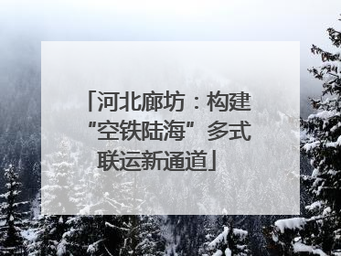 河北廊坊：构建“空铁陆海”多式联运新通道