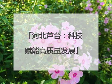 河北芦台：科技赋能高质量发展