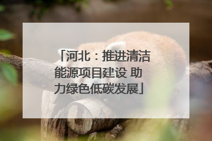 河北：推进清洁能源项目建设 助力绿色低碳发展