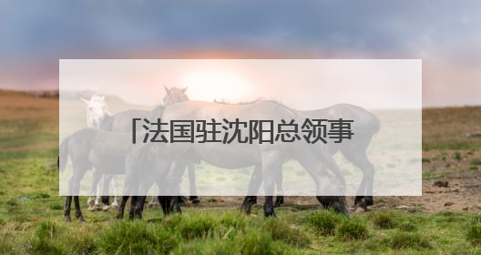 法国驻沈阳总领事罗毅睿：红山文化是中国的瑰宝，也是世界文化遗产