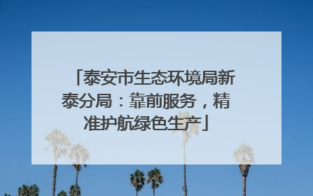 泰安市生态环境局新泰分局：靠前服务，精准护航绿色生产