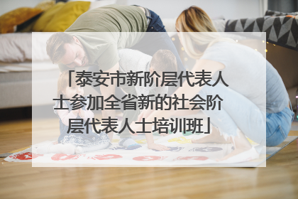 泰安市新阶层代表人士参加全省新的社会阶层代表人士培训班
