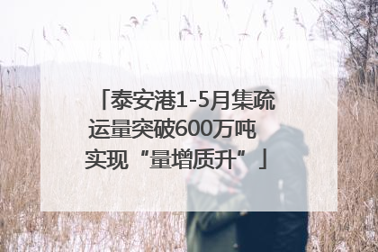 泰安港1-5月集疏运量突破600万吨 实现“量增质升”