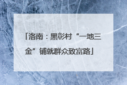 洛南：黑彰村“一地三金”铺就群众致富路