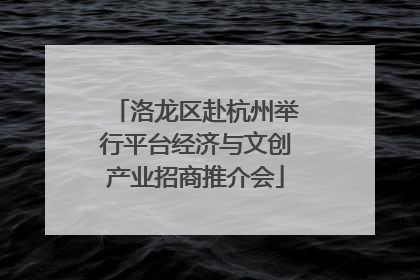 洛龙区赴杭州举行平台经济与文创产业招商推介会