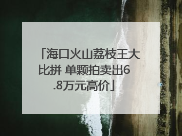 海口火山荔枝王大比拼 单颗拍卖出6.8万元高价