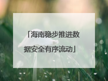 海南稳步推进数据安全有序流动