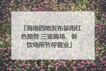 海南四地发布暴雨红色预警 三亚商场、餐饮场所暂停营业