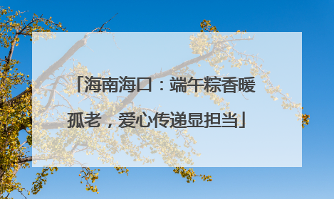 海南海口：端午粽香暖孤老，爱心传递显担当