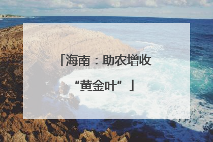 海南：助农增收 “黄金叶”