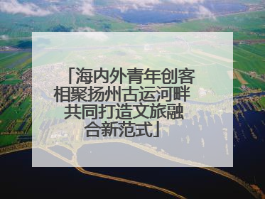 海内外青年创客相聚扬州古运河畔 共同打造文旅融合新范式