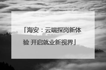 海安：云端探岗新体验 开启就业新视界
