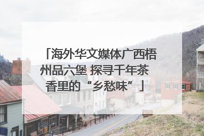 海外华文媒体广西梧州品六堡 探寻千年茶香里的“乡愁味”