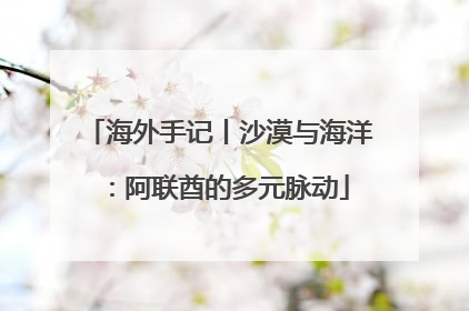 海外手记丨沙漠与海洋：阿联酋的多元脉动