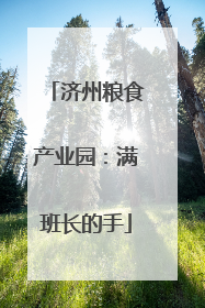 济州粮食产业园：满班长的手