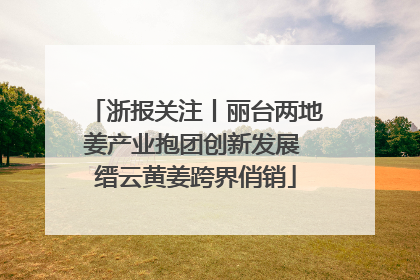 浙报关注丨丽台两地姜产业抱团创新发展 缙云黄姜跨界俏销
