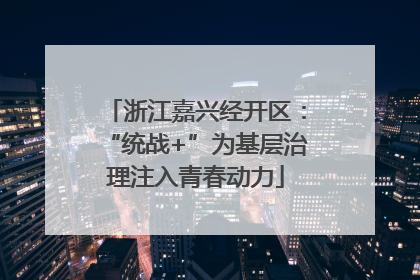 浙江嘉兴经开区：“统战+”为基层治理注入青春动力