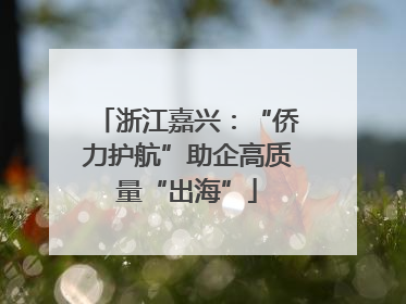 浙江嘉兴:“侨力护航”助企高质量“出海”