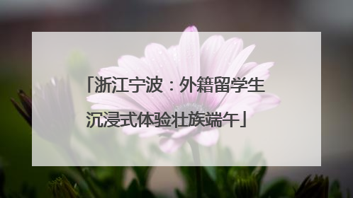 浙江宁波：外籍留学生沉浸式体验壮族端午