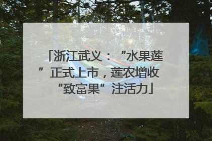 浙江武义：“水果莲”正式上市，莲农增收“致富果”注活力