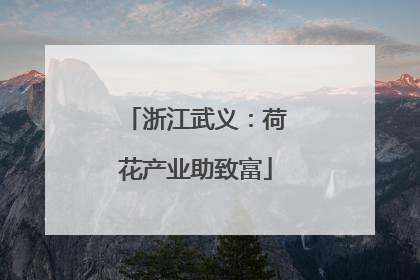 浙江武义：荷花产业助致富