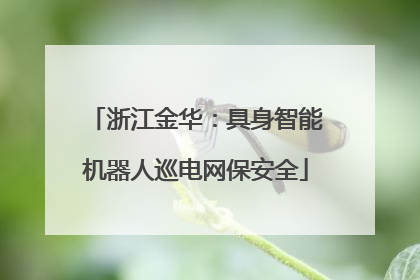 浙江金华：具身智能机器人巡电网保安全