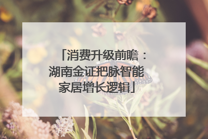 消费升级前瞻：湖南金证把脉智能家居增长逻辑