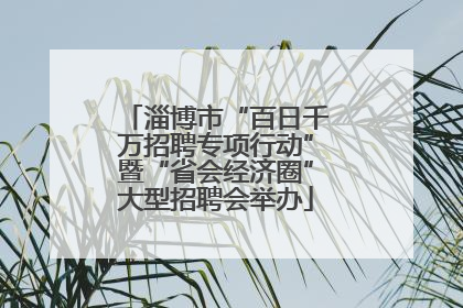 淄博市“百日千万招聘专项行动”暨“省会经济圈”大型招聘会举办