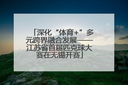 深化“体育+”多元跨界融合发展——江苏省首届匹克球大赛在无锡开赛