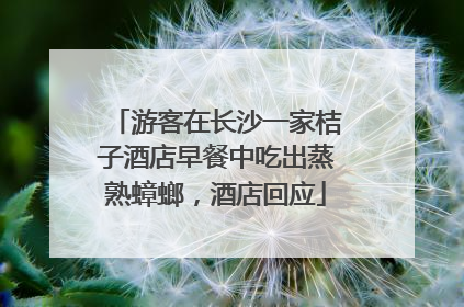 游客在长沙一家桔子酒店早餐中吃出蒸熟蟑螂，酒店回应