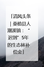 清风头条｜桑植县人潮溪镇：“迟到”5年的生态林补偿金