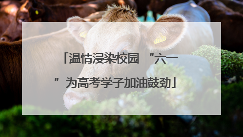 温情浸染校园 “六一”为高考学子加油鼓劲